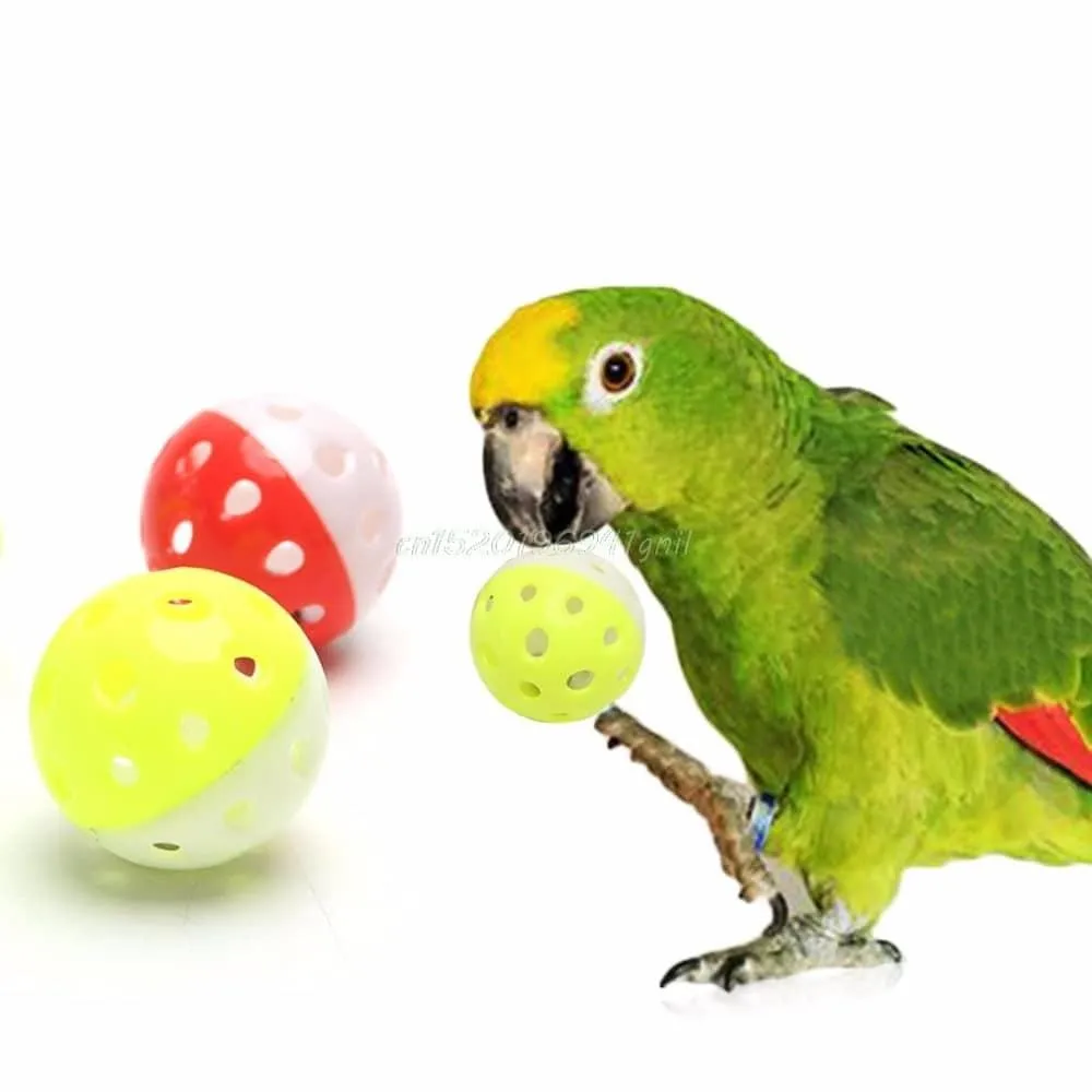 Bird's Toy Ball with Bell